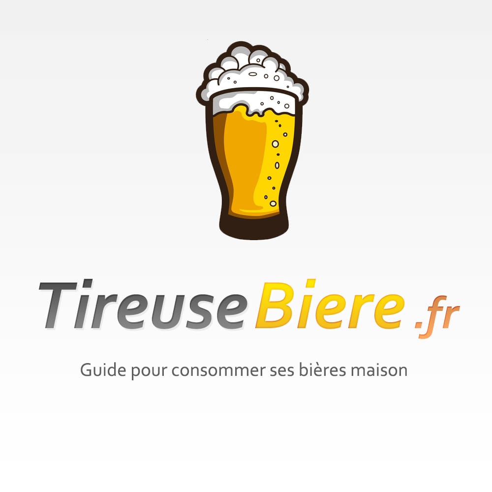 Tireuse à bière SEB Beertender VB310810 [Test & Avis 2024]
